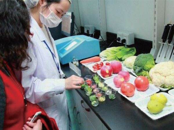 有機(jī)蔬菜配送：新鮮、健康、直送到家